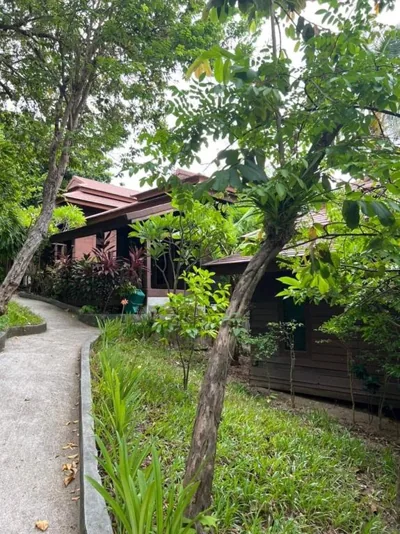 Sonic Hill Koh Phangan – Photos 4